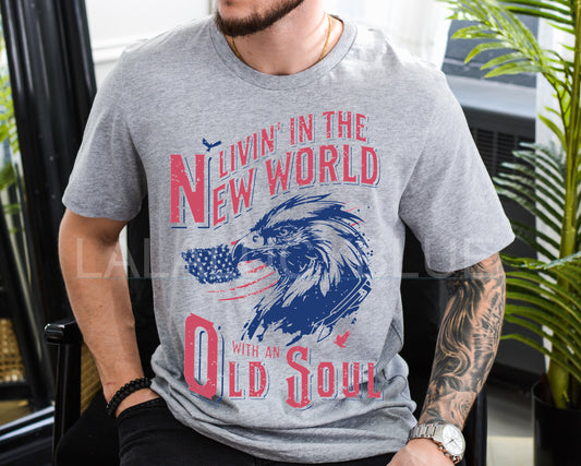 New World-Old Soul Grey Vintage Tee