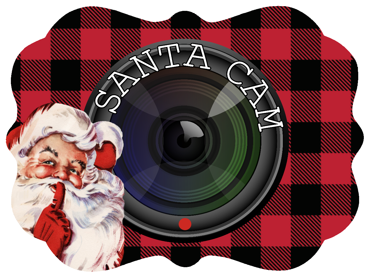 Santa Cam Ornament