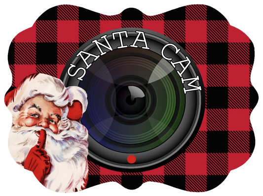 Santa Cam Ornament